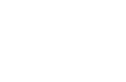 Aceros AZA